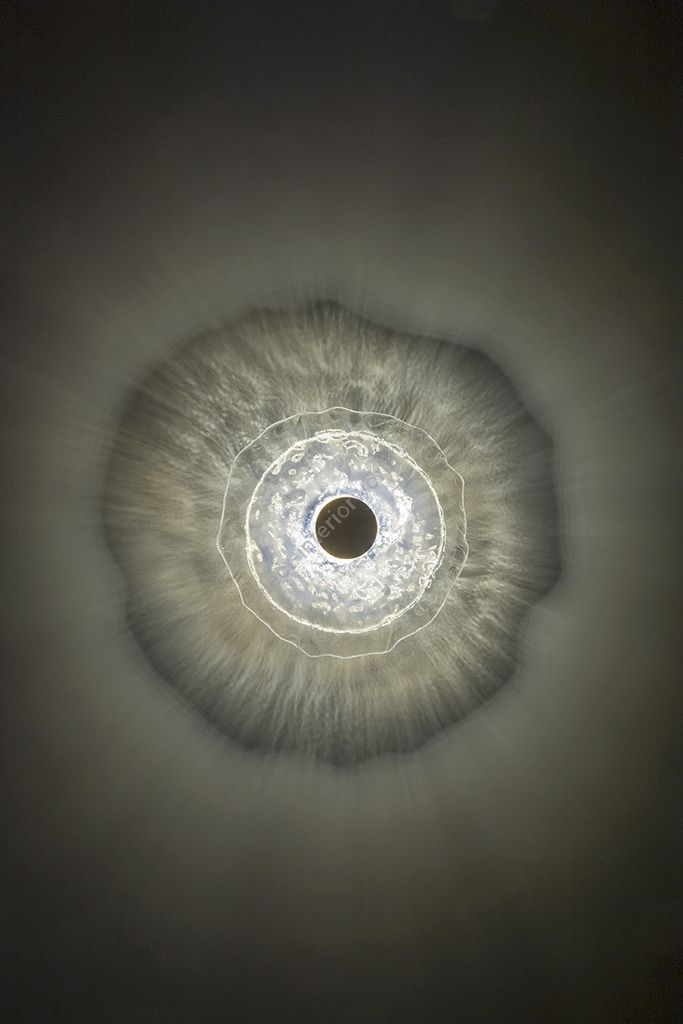 Patrizia Volpato / Wall Lights / Nebula 240/35-45-55-77