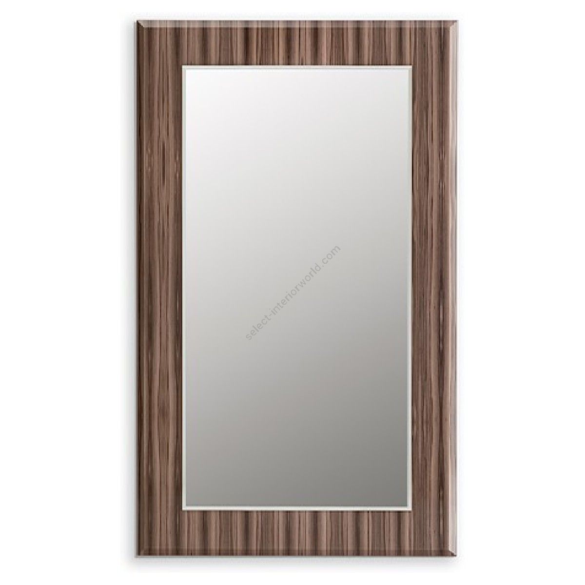 Reflex / Mirrors / Elisa Specchio