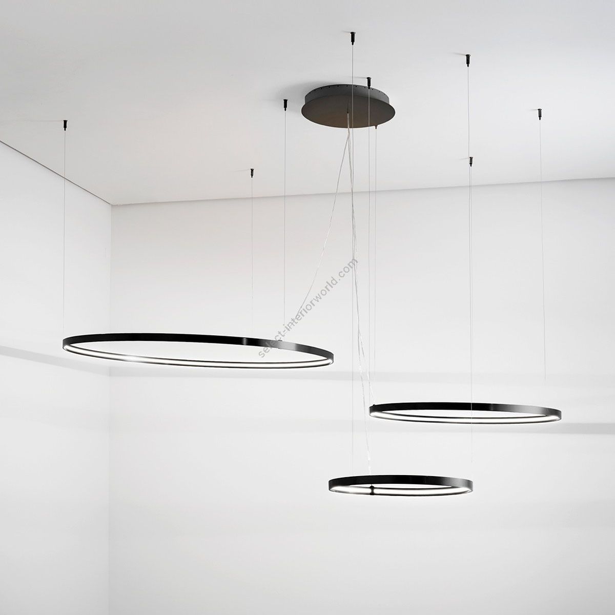 Zava / Pendants & Suspension Lights / Rings Horizontal B
