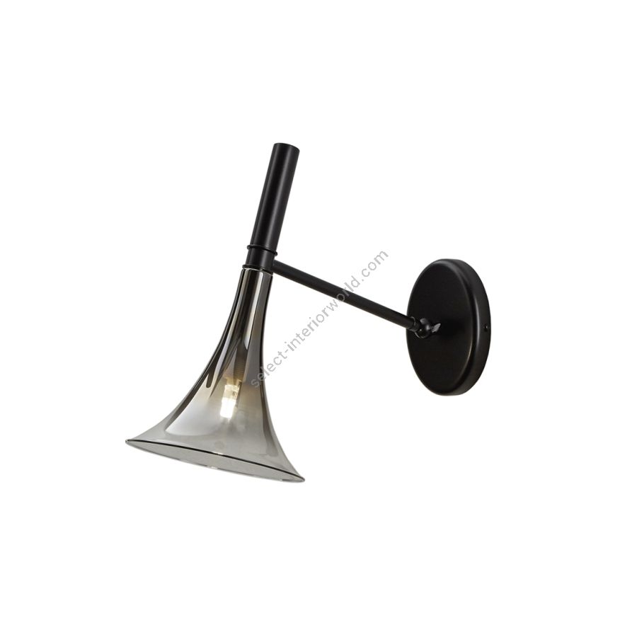 Adjustable wall lamp / Matt Black finish / Titanium shaded glass